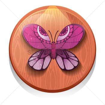 Butterfly Butterfly