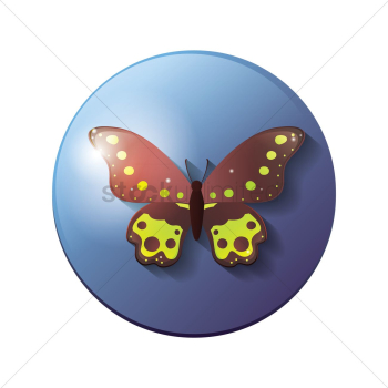 Butterfly Butterfly