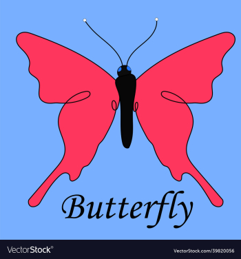 butterfly butterfly