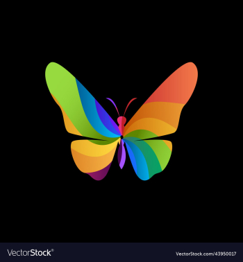 butterfly abstract colorful logo