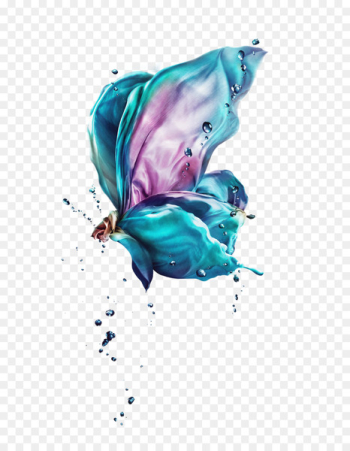 Butterfly Android Download - Creative Colorful Butterfly Butterfly Android Download - Creative Colorful Butterfly