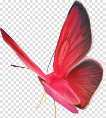 Butterfly Animal Moth , butterfly transparent background PNG clipart Butterfly Animal Moth , butterfly transparent background PNG clipart