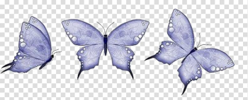 Butterfly Animation, butterfly transparent background PNG clipart Butterfly Animation, butterfly transparent background PNG clipart