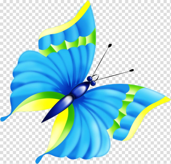 Butterfly Animation , dragonfly transparent background PNG clipart Butterfly Animation , dragonfly transparent background PNG clipart