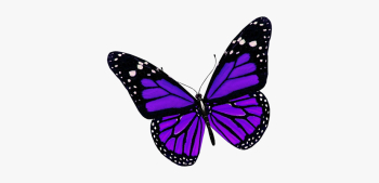 Butterfly Beautiful - Purple Butterfly Png #753259 - Free Cliparts ...