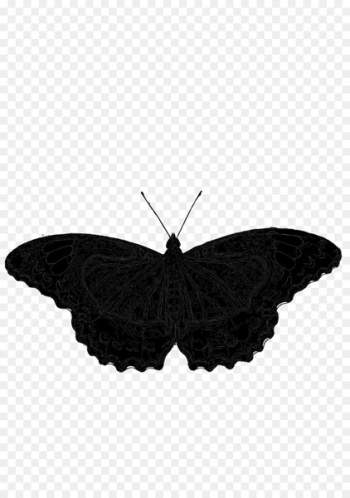 Butterfly Brush-footed butterflies Insect Computer Icons Image -  
