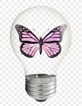 Butterfly bulb png sticker, insect, | Free PNG - rawpixel