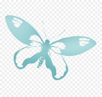 Butterfly - Butterfly stamp picture material Butterfly - Butterfly stamp picture material