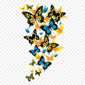 Butterfly Clip art - Butterflies Clipart Picture Butterfly Clip art - Butterflies Clipart Picture