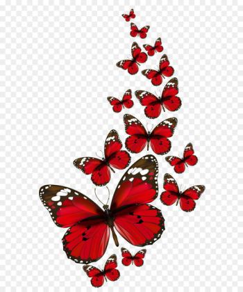 Butterfly Clip art - Red Butterflies Vector PNG Clipart Butterfly Clip art - Red Butterflies Vector PNG Clipart
