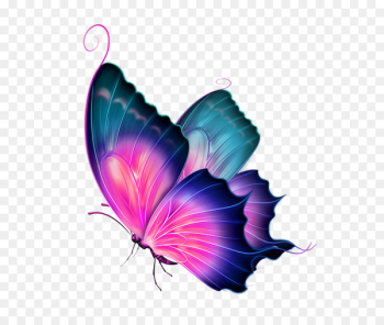 Butterfly Clip art - Watercolor Butterfly 