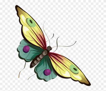 Butterfly - Clipart Best - Butterfly Png Transparent Cartoon Butterfly - Clipart Best - Butterfly Png Transparent Cartoon
