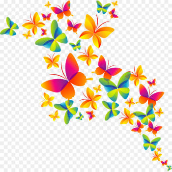 Butterfly CMYK color model - happy holi Butterfly CMYK color model - happy holi