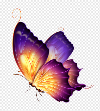 Butterfly Color Purple, Purple Butterfly, yellow and purple butterfly, purple, painted, violet png