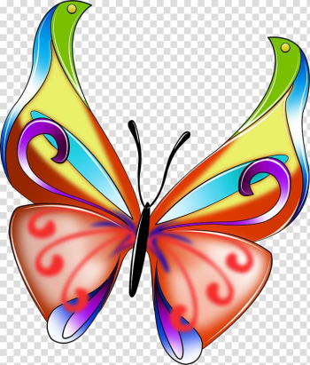 Butterfly , Colorful butterfly transparent background PNG clipart Butterfly , Colorful butterfly transparent background PNG clipart