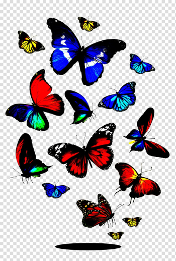 Butterfly , Colorful Butterfly transparent background PNG clipart Butterfly , Colorful Butterfly transparent background PNG clipart