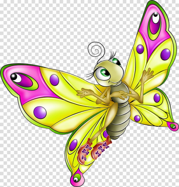 Butterfly , Colorful butterfly transparent background PNG clipart Butterfly , Colorful butterfly transparent background PNG clipart