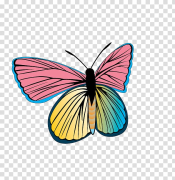 Butterfly , colorful butterfly transparent background PNG clipart Butterfly , colorful butterfly transparent background PNG clipart