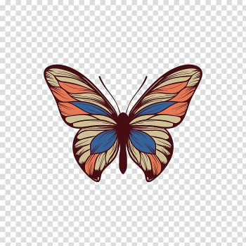 Butterfly, colorful butterfly transparent background PNG clipart Butterfly, colorful butterfly transparent background PNG clipart