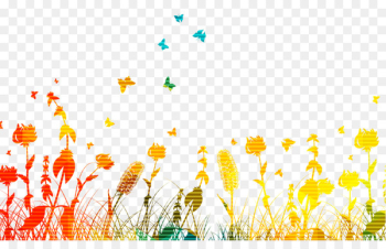 Butterfly - Colorful grass Butterfly - Colorful grass