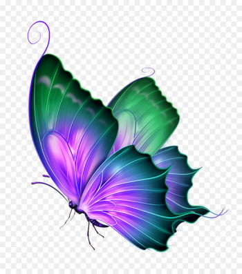 Butterfly Computer Icons Clip art - Green Dream Butterfly Decorative Patterns 