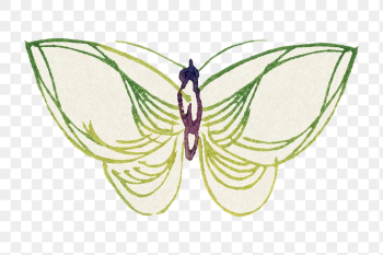 Butterfly doodle png sticker, green | Free PNG Sticker - rawpixel