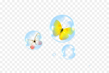 Butterfly Download - Bubble,butterfly Butterfly Download - Bubble,butterfly