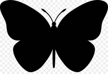 Butterfly, Drawing, Monarch Butterfly, Moths And Butterflies PNG