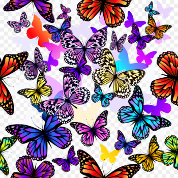 Butterfly Euclidean vector Pattern - Colorful butterfly group vector material 