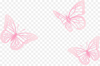 Butterfly Euclidean vector - Vector painted three pink butterfly 