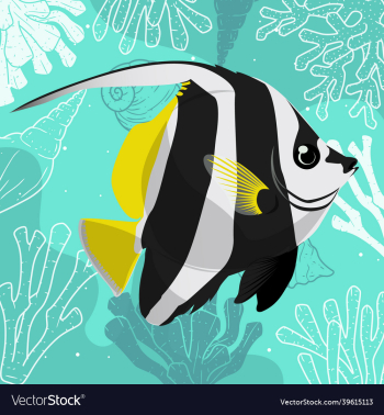 butterfly fish butterfly fish