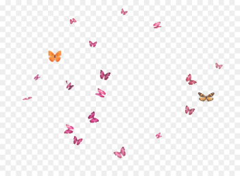 Butterfly Flight - Flying Butterfly Butterfly Flight - Flying Butterfly