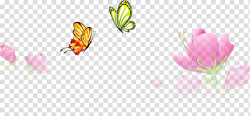 Butterfly Flower Euclidean , Spring Flower Butterfly transparent background PNG clipart