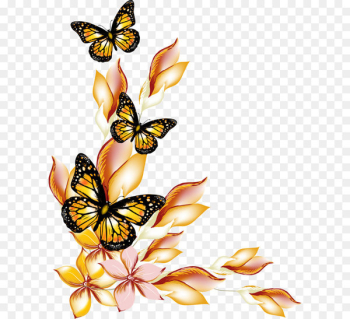 Butterfly Flower - Flowers and butterflies borders vector Butterfly Flower - Flowers and butterflies borders vector