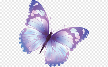 Butterfly Free content, Steel Butterfly s, purple, brush Footed Butterfly, violet png