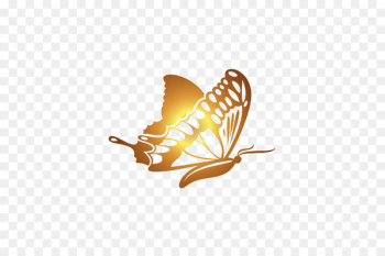 Butterfly Gold Software - Golden Butterfly Butterfly Gold Software - Golden Butterfly