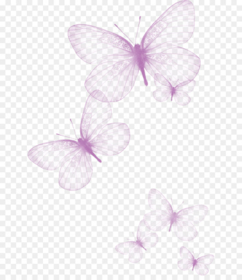 Butterfly Greta oto Clip art - Creative beautiful butterfly transparent png 