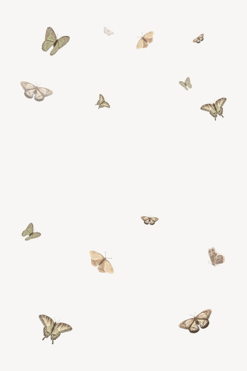 Butterfly illustration background, vector | Free Vector Illustration - rawpixel Butterfly illustration background, vector | Free Vector Illustration - rawpixel