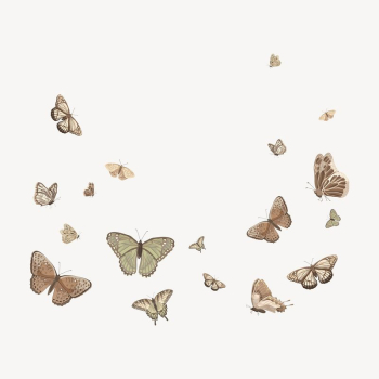 Butterfly illustration background, vector | Free Vector Illustration - rawpixel Butterfly illustration background, vector | Free Vector Illustration - rawpixel