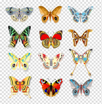 Butterfly Illustration, Colored butterfly pattern transparent background PNG clipart