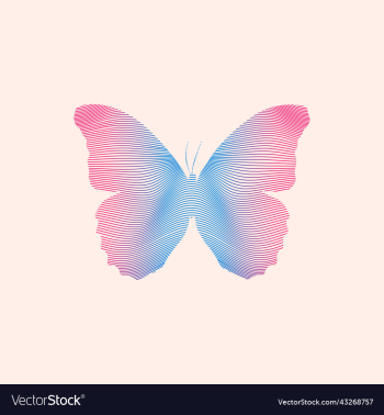 butterfly in mesh design butterfly in mesh design