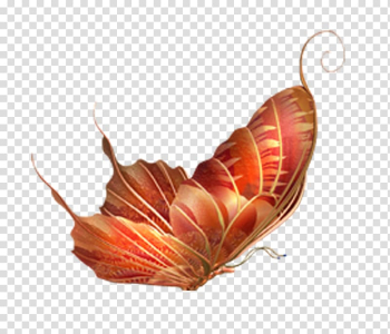 Butterfly Insect , Colorful butterfly transparent background PNG clipart Butterfly Insect , Colorful butterfly transparent background PNG clipart