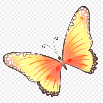 Butterfly, Insect, Monarch Butterfly, Moths And Butterflies PNG
