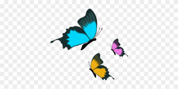 Butterfly Insect Nature Butterfly Butterfl - Farfalla Clip Art Butterfly Insect Nature Butterfly Butterfl - Farfalla Clip Art
