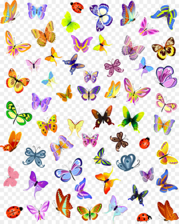 Butterfly Insect Royalty-free Illustration - Vector colorful butterfly 
