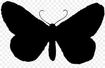 Butterfly, Insect, Silhouette, Wing PNG Butterfly, Insect, Silhouette, Wing PNG