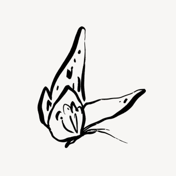 Butterfly line art, animal | Free Photo - rawpixel Butterfly line art, animal | Free Photo - rawpixel