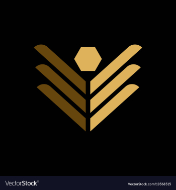 Butterfly logo vector image