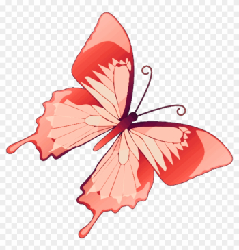 Butterfly Mariposa Diurna Day Diurnal Spring Primavera - Purple Rose Butterfly Purple Butterfly Mariposa Diurna Day Diurnal Spring Primavera - Purple Rose Butterfly Purple