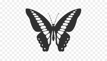 Butterfly, Monarch Butterfly, Silhouette, Moths And Butterflies PNG